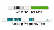 Ovulation Prediction Tests
