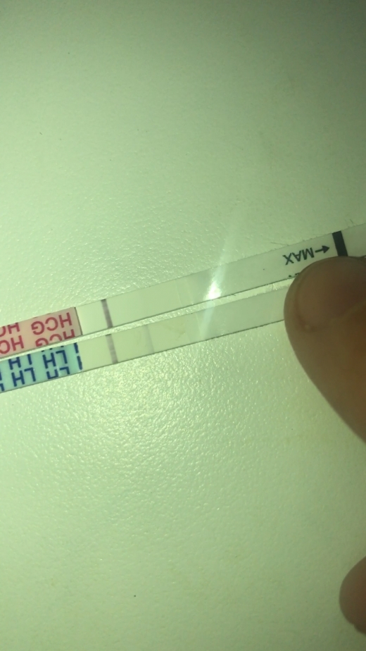 Wondfo Test Strips Pregnancy Test, 11 Days Post Ovulation, Cycle Day 29