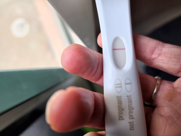 Home Pregnancy Test, FMU, Cycle Day 42
