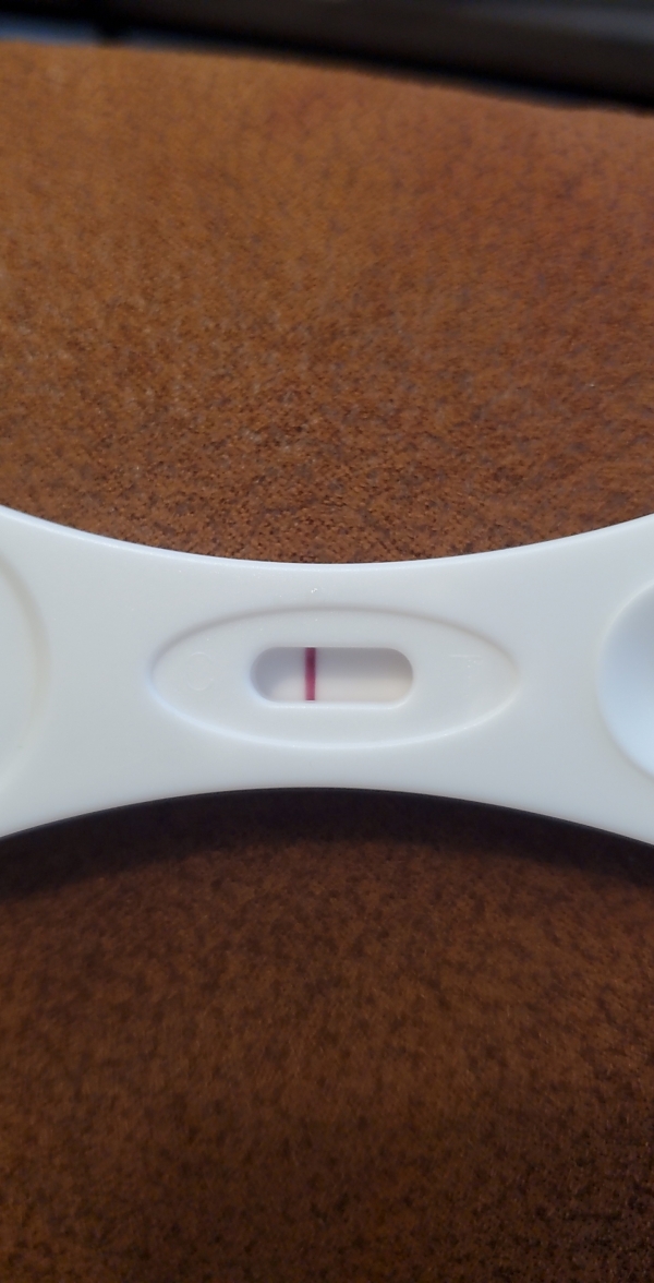 Home Pregnancy Test, Cycle Day 19
