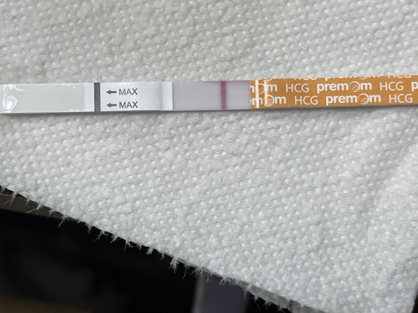 Generic Pregnancy Test, 15 Days Post Ovulation