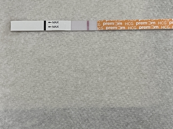 Generic Pregnancy Test, 16 Days Post Ovulation, FMU