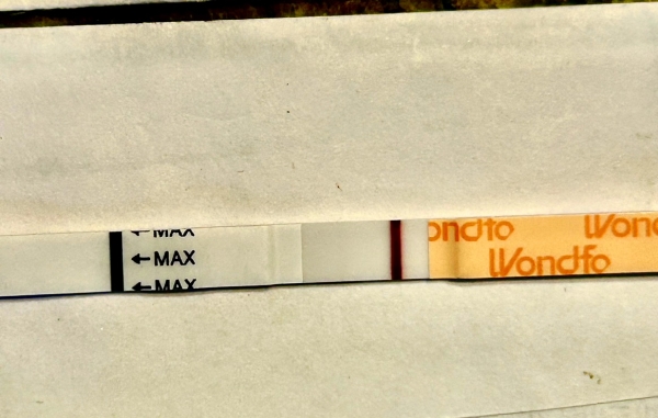 Wondfo Test Strips Pregnancy Test, 11 Days Post Ovulation