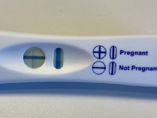 Walgreens One Step Pregnancy Test, 14 Days Post Ovulation, FMU, Cycle Day 29