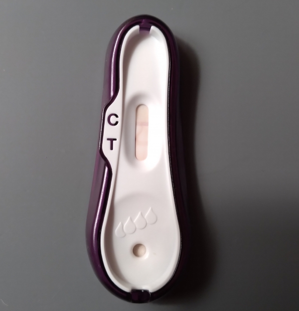DG One Step Pregnancy Test, 12 Days Post Ovulation, Cycle Day 25