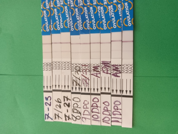 Pregmate Ovulation Test, Tested cycle day 23