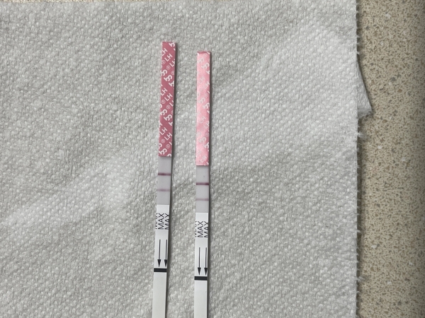 Generic Ovulation Test