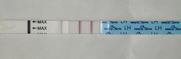 Easy-At-Home Ovulation Test, Tested cycle day 11