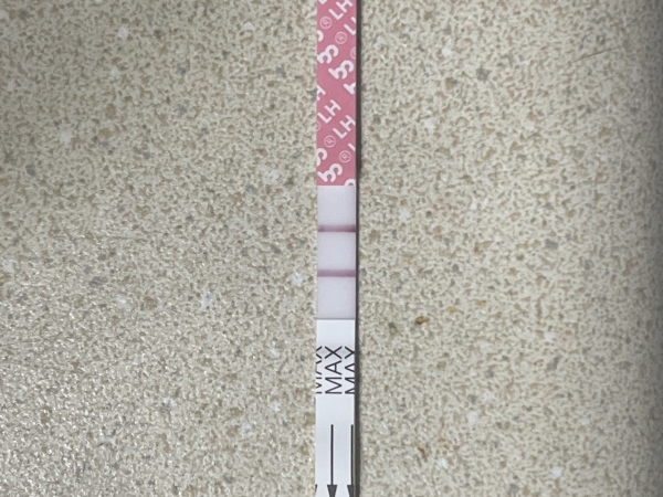 Ovulation Test