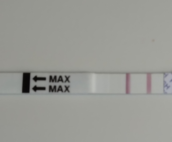 Generic Ovulation Test, Tested cycle day 12