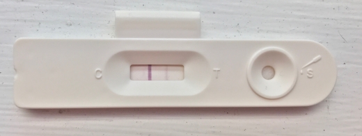 New Choice Pregnancy Test