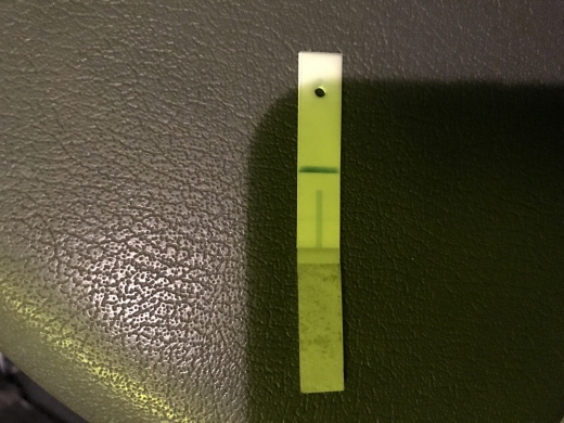 Clearblue Plus Pregnancy Test, Cycle Day 34