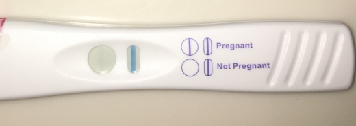 Generic Pregnancy Test, FMU
