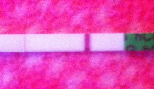 Home Pregnancy Test