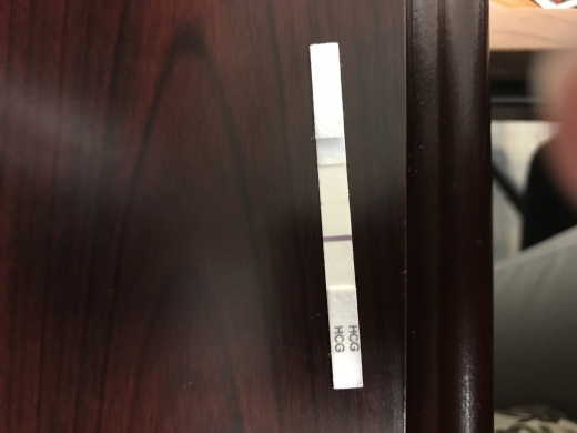 New Choice Pregnancy Test