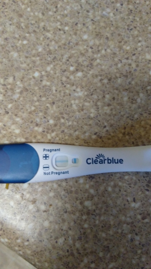 Home Pregnancy Test