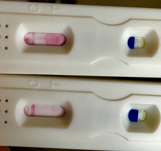 Home Pregnancy Test, FMU