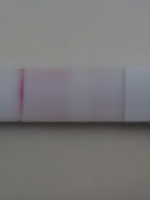 Generic Pregnancy Test