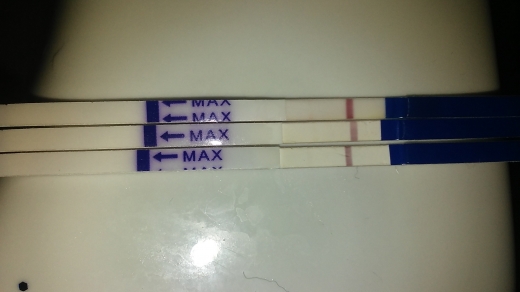Home Pregnancy Test
