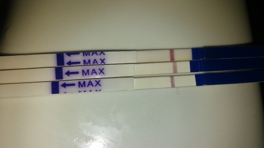 Home Pregnancy Test