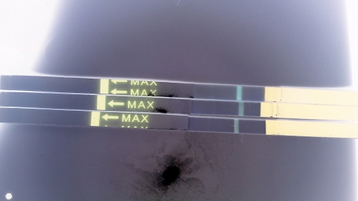 Home Pregnancy Test