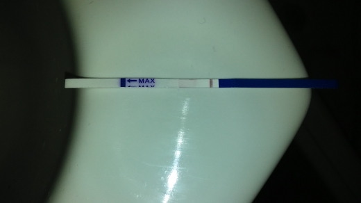 Home Pregnancy Test