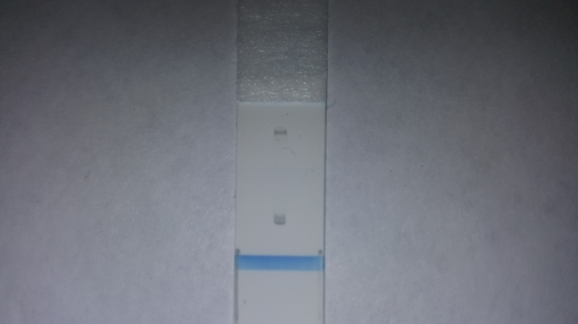 Generic Pregnancy Test, 21 Days Post Ovulation, FMU, Cycle Day 38