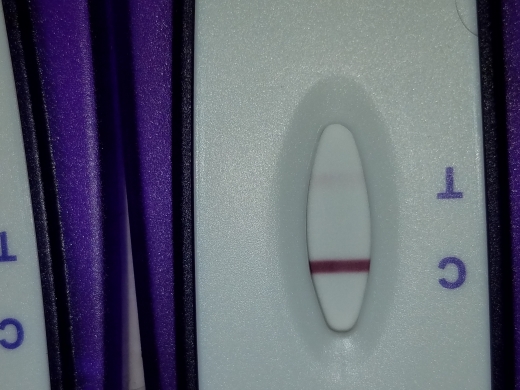 Home Pregnancy Test