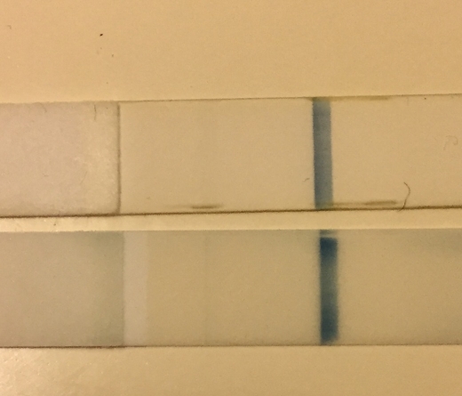 CVS Early Result Pregnancy Test, 12 Days Post Ovulation