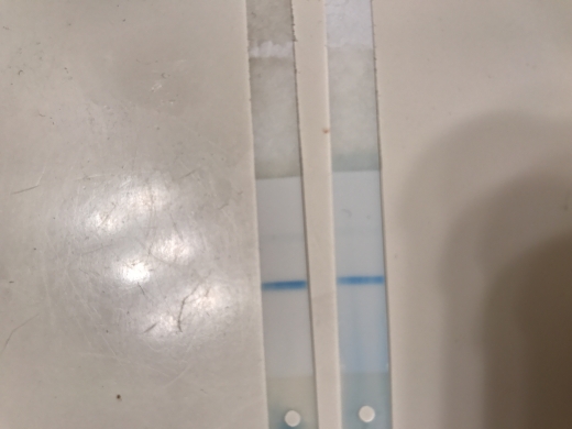 Clearblue Digital Pregnancy Test, 15 Days Post Ovulation
