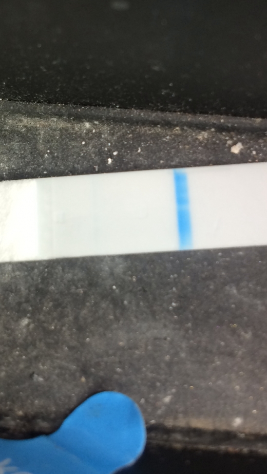 Equate One Step Pregnancy Test, 15 Days Post Ovulation, Cycle Day 33