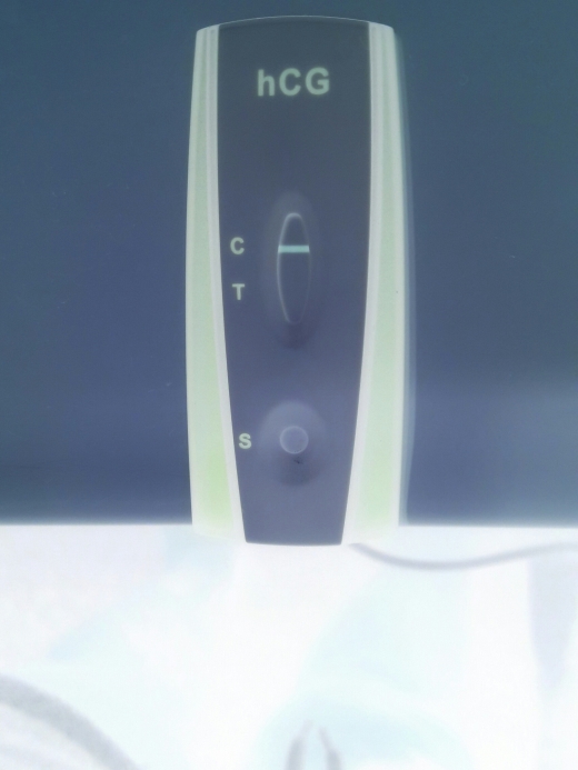 Home Pregnancy Test