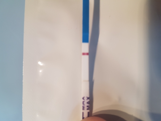 Home Pregnancy Test