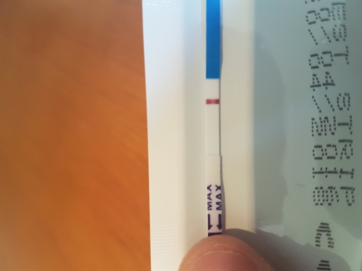 Home Pregnancy Test