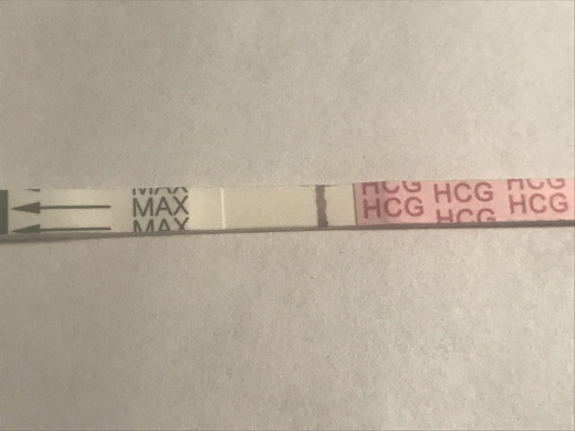Home Pregnancy Test