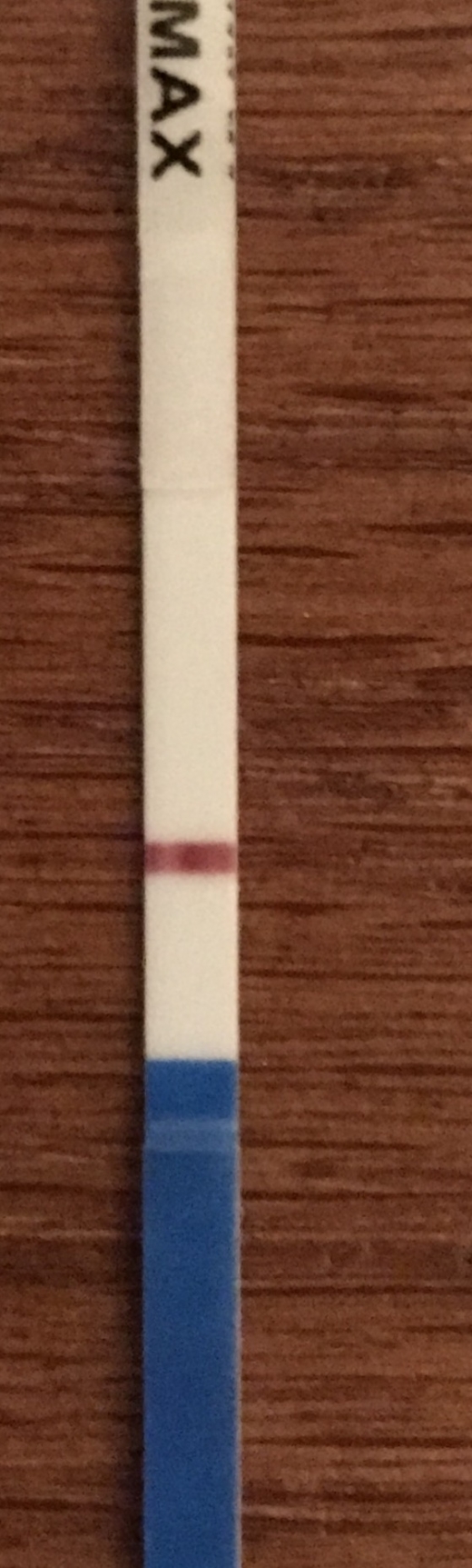 Home Pregnancy Test