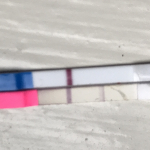 Home Pregnancy Test