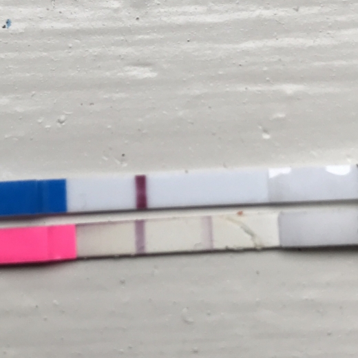 Home Pregnancy Test