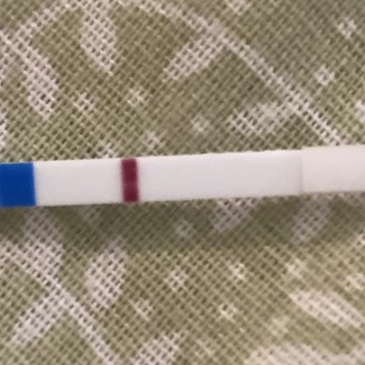 Home Pregnancy Test