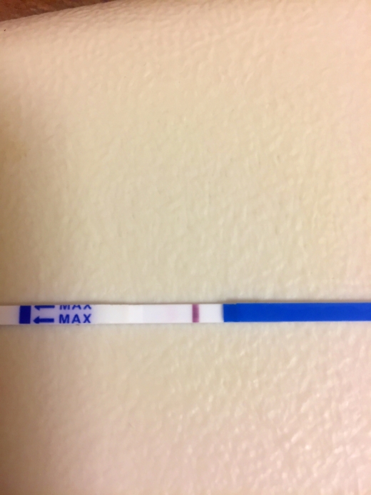 Home Pregnancy Test