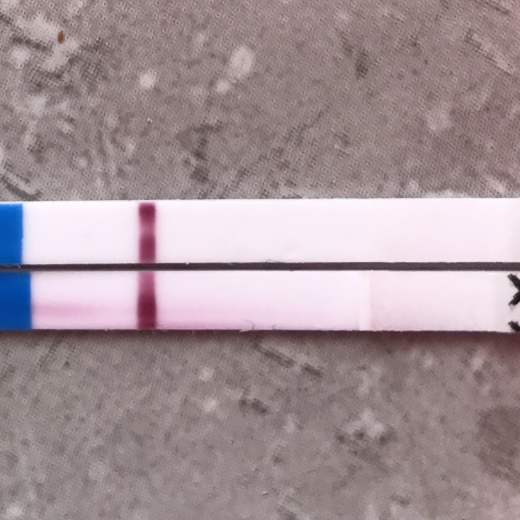 Home Pregnancy Test