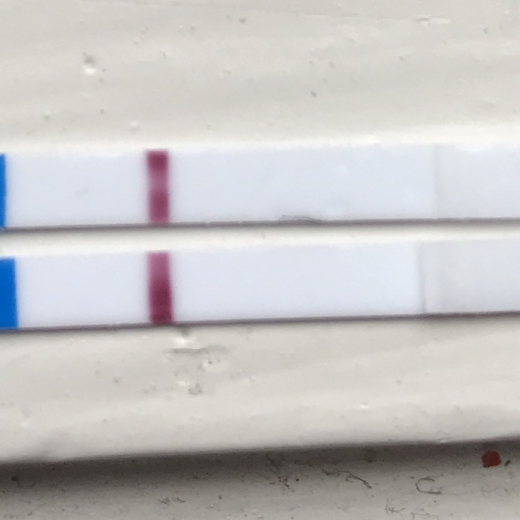 Home Pregnancy Test