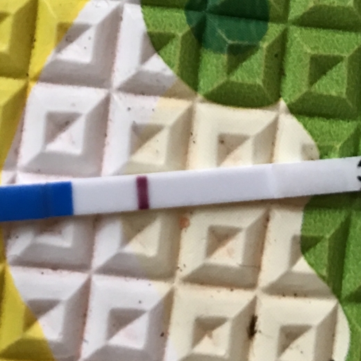 Home Pregnancy Test