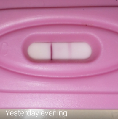 New Choice Pregnancy Test, 21 Days Post Ovulation