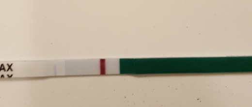 Home Pregnancy Test, FMU, Cycle Day 38