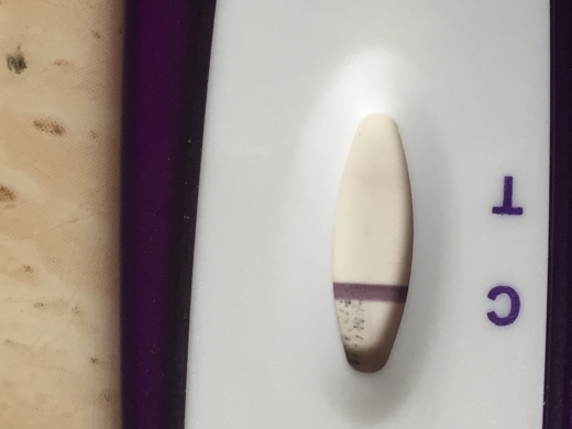 New Choice Pregnancy Test