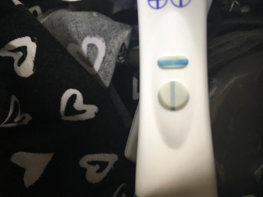 Home Pregnancy Test
