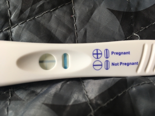 Home Pregnancy Test
