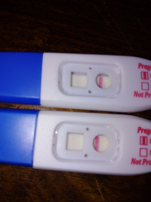 Generic Pregnancy Test, FMU