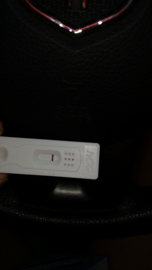 Home Pregnancy Test